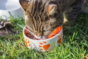 Eating 
